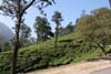 Munnar