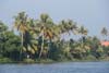 Backwaters